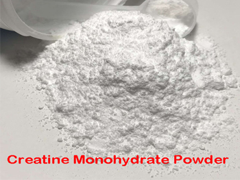 What Is Creatine Monohydrate Powder Used For？